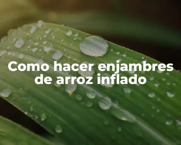 Como hacer enjambres de arroz inflado