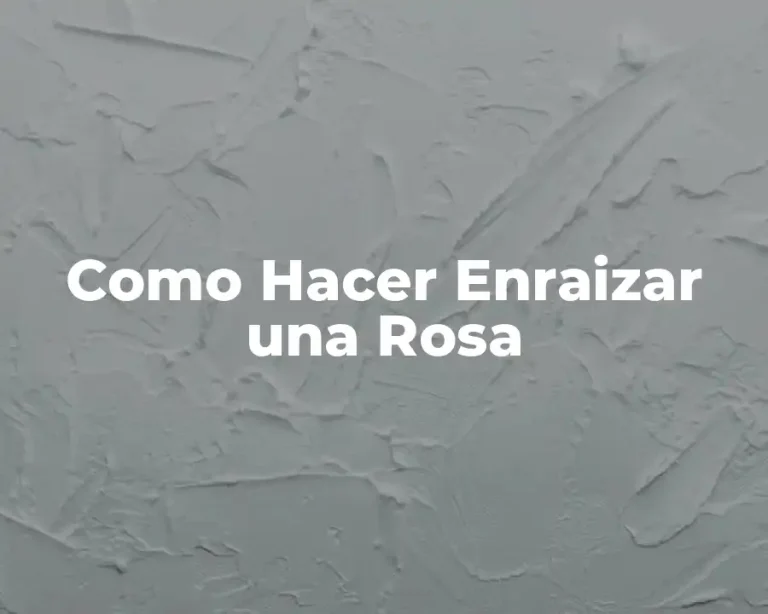 Como Hacer Enraizar una Rosa
