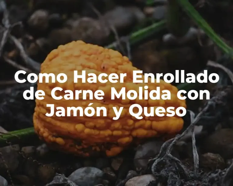 Como Hacer Enrollado de Carne Molida con Jamón y Queso