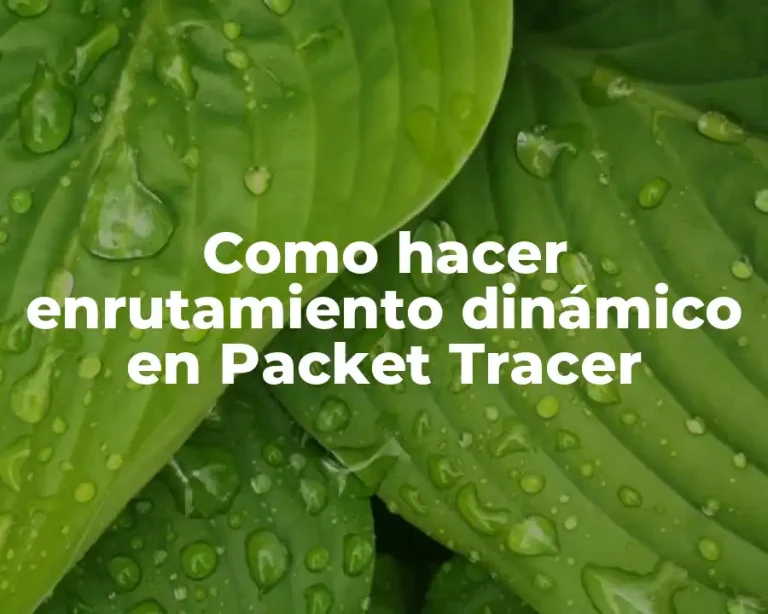 Como hacer enrutamiento dinámico en Packet Tracer