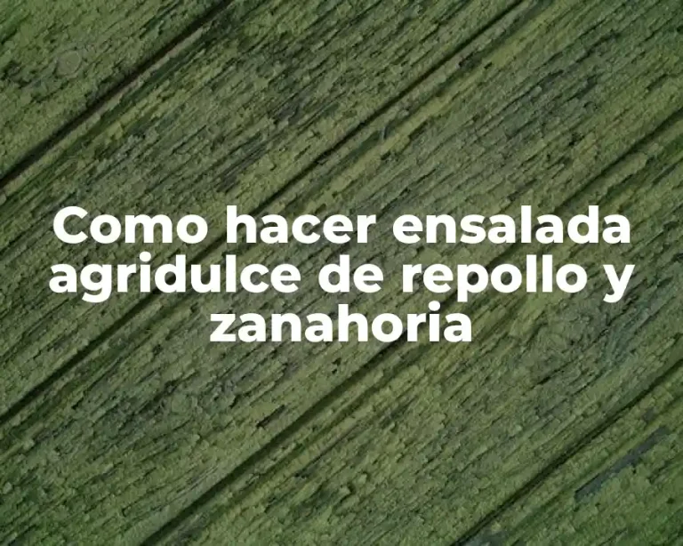 Como hacer ensalada agridulce de repollo y zanahoria
