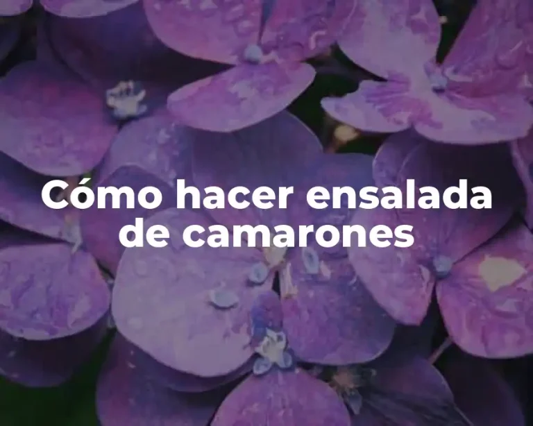 Cómo hacer ensalada de camarones