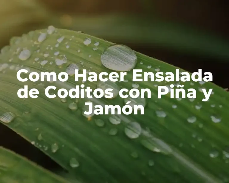 Como Hacer Ensalada de Coditos con Piña y Jamón