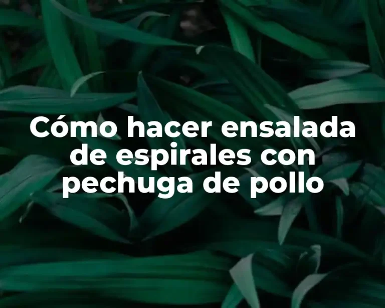 Cómo hacer ensalada de espirales con pechuga de pollo