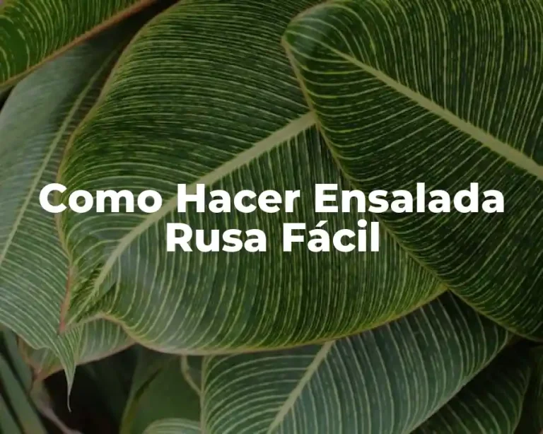 Como Hacer Ensalada Rusa Fácil