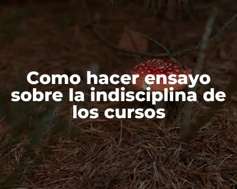 Como hacer ensayo sobre la indisciplina de los cursos