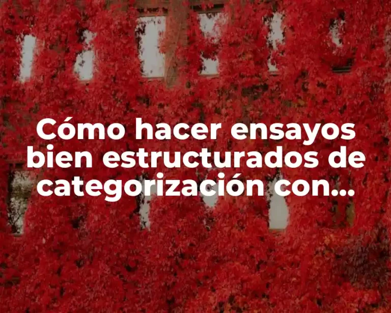 Cómo hacer ensayos bien estructurados de categorización con ejemplos
