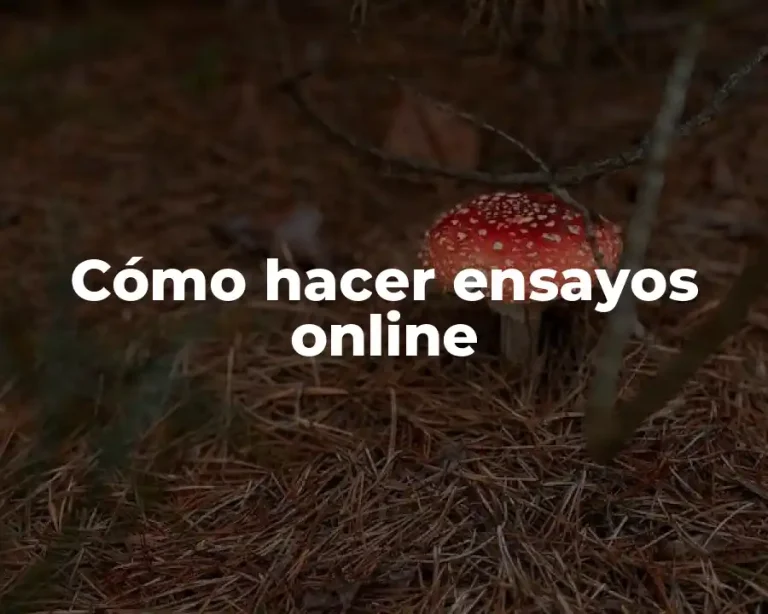 Cómo hacer ensayos online