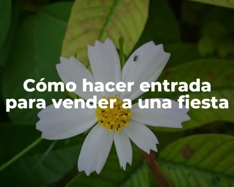 Cómo hacer entrada para vender a una fiesta