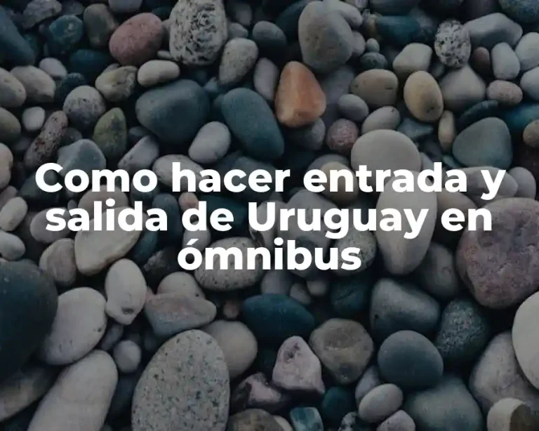 Como hacer entrada y salida de Uruguay en ómnibus