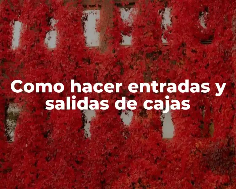 Como hacer entradas y salidas de cajas