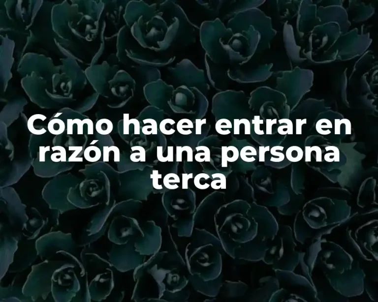 Cómo hacer entrar en razón a una persona terca