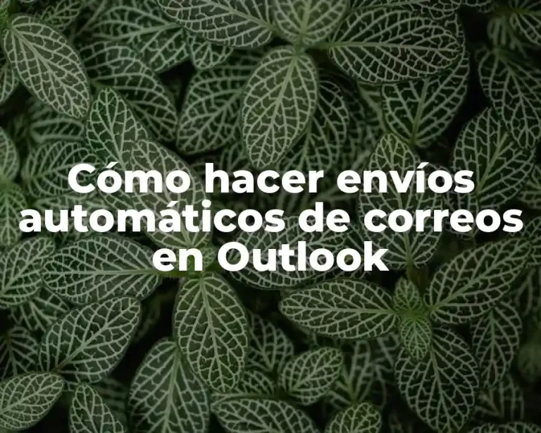 Cómo hacer envíos automáticos de correos en Outlook