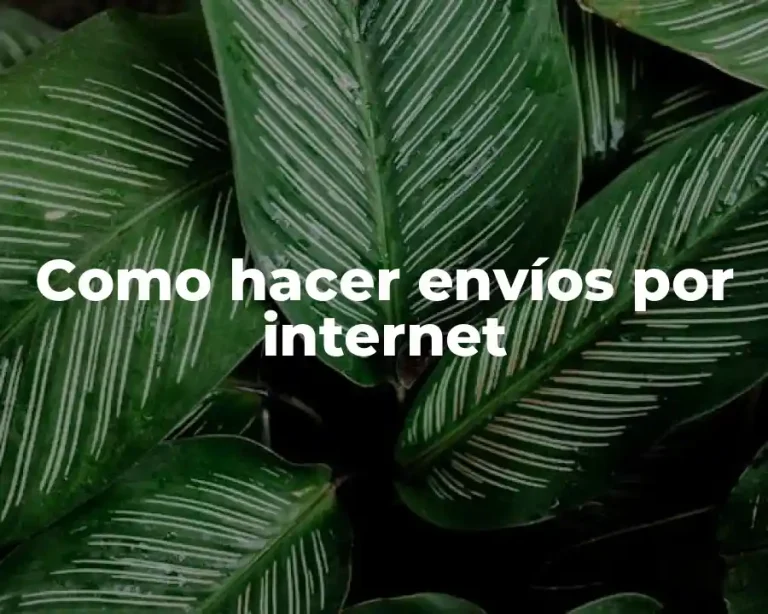 Como hacer envíos por internet
