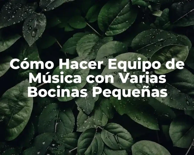 Cómo Hacer Equipo de Música con Varias Bocinas Pequeñas