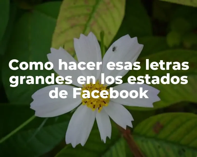 Como hacer esas letras grandes en los estados de Facebook