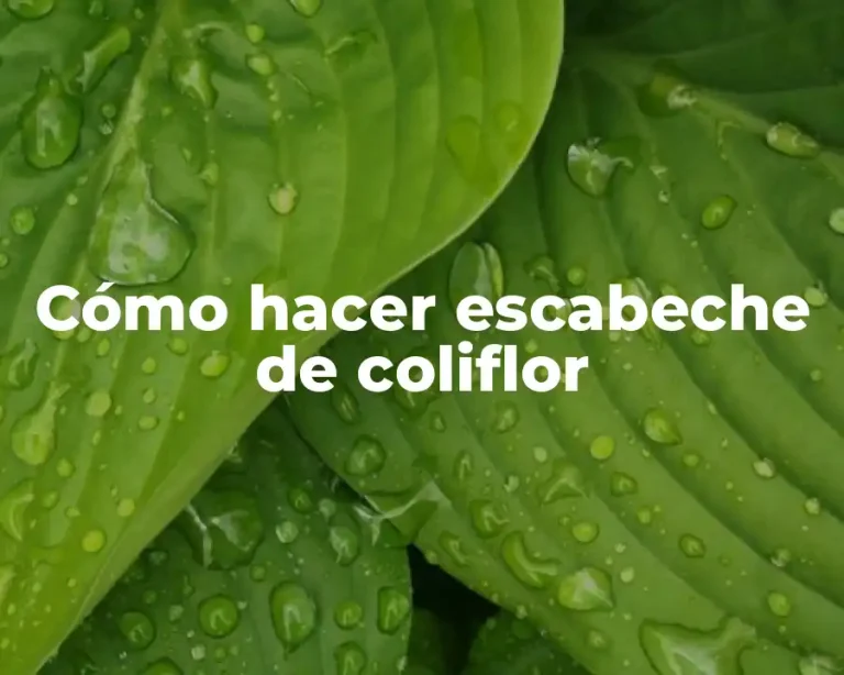 Cómo hacer escabeche de coliflor