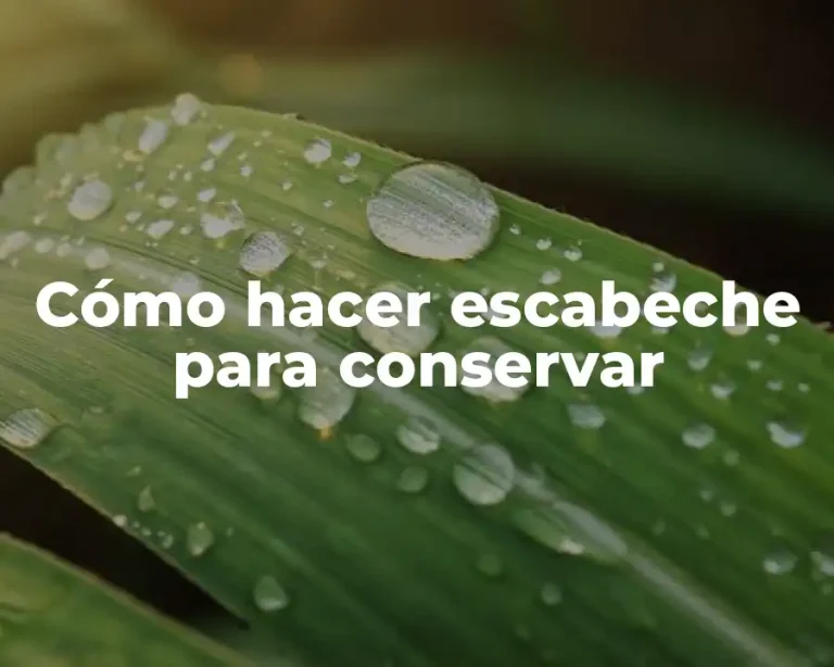 Cómo hacer escabeche para conservar
