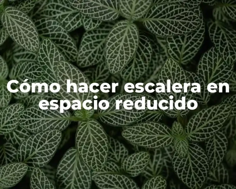 Cómo hacer escalera en espacio reducido