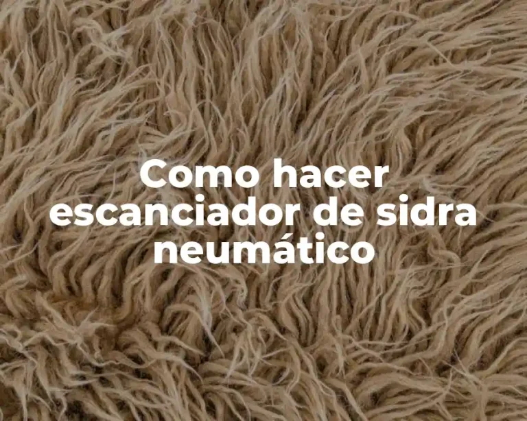 Como hacer escanciador de sidra neumático