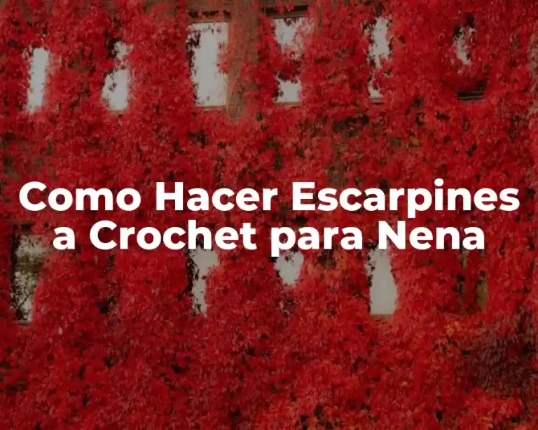 Como Hacer Escarpines a Crochet para Nena