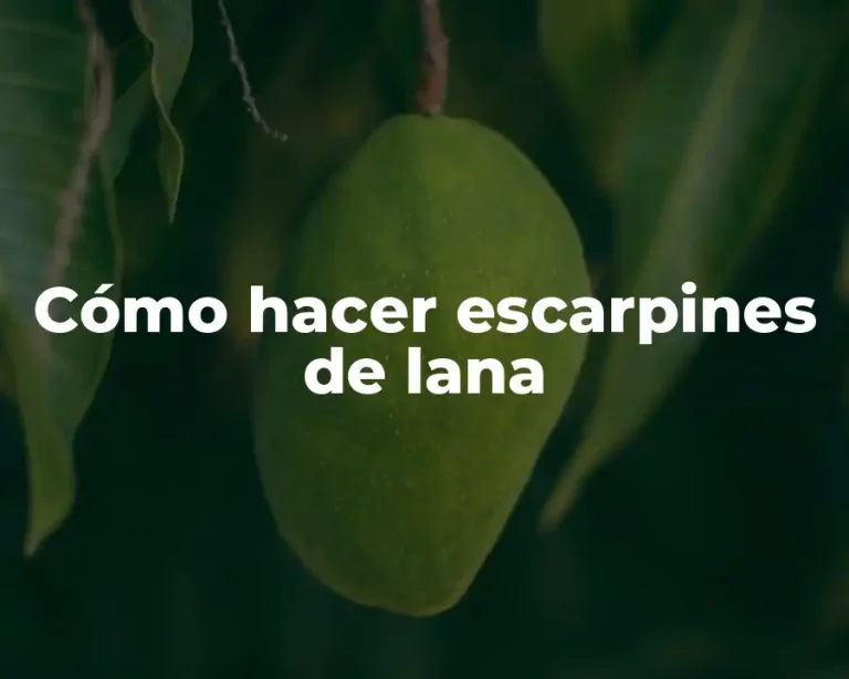 Cómo hacer escarpines de lana