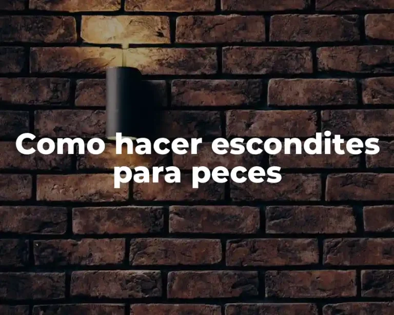 Como hacer escondites para peces