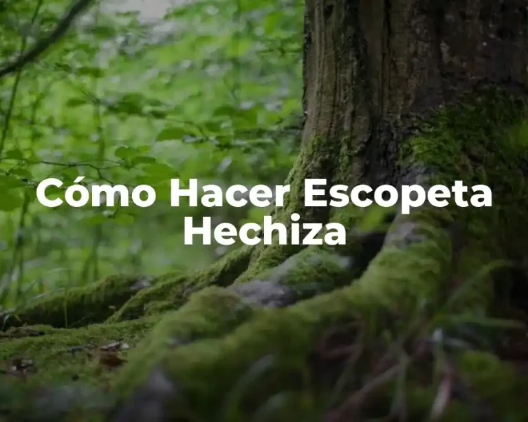 Cómo Hacer Escopeta Hechiza