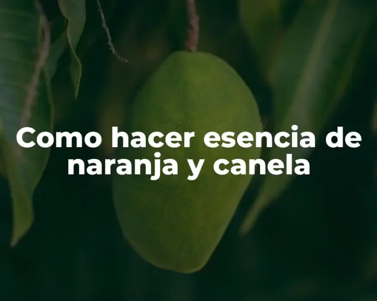 Como hacer esencia de naranja y canela