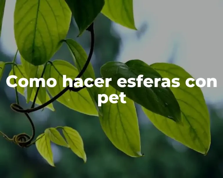 Como hacer esferas con pet