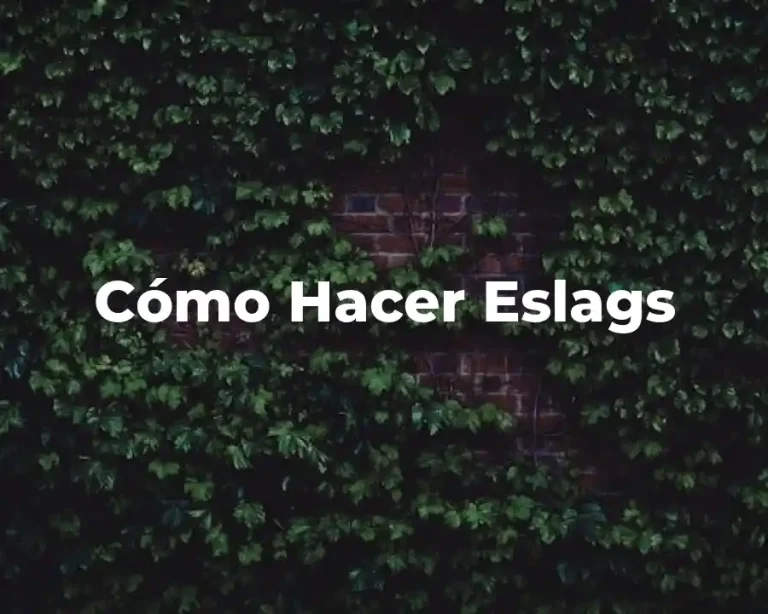 Cómo Hacer Eslags