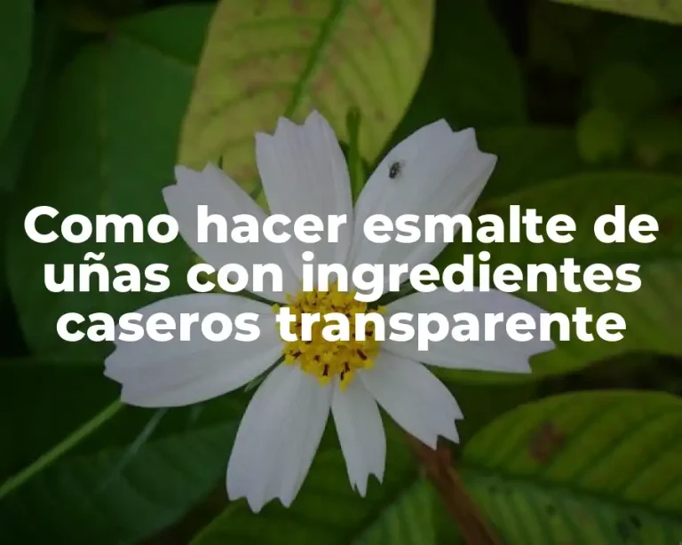 Como hacer esmalte de uñas con ingredientes caseros transparente