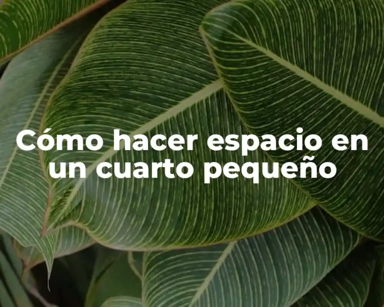 Cómo hacer espacio en un cuarto pequeño