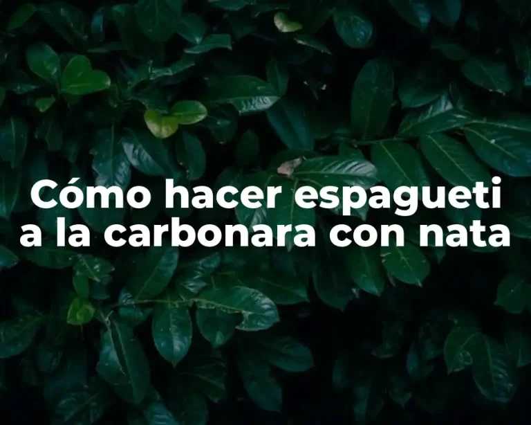 Cómo hacer espagueti a la carbonara con nata