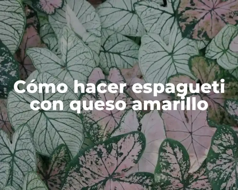 Cómo hacer espagueti con queso amarillo