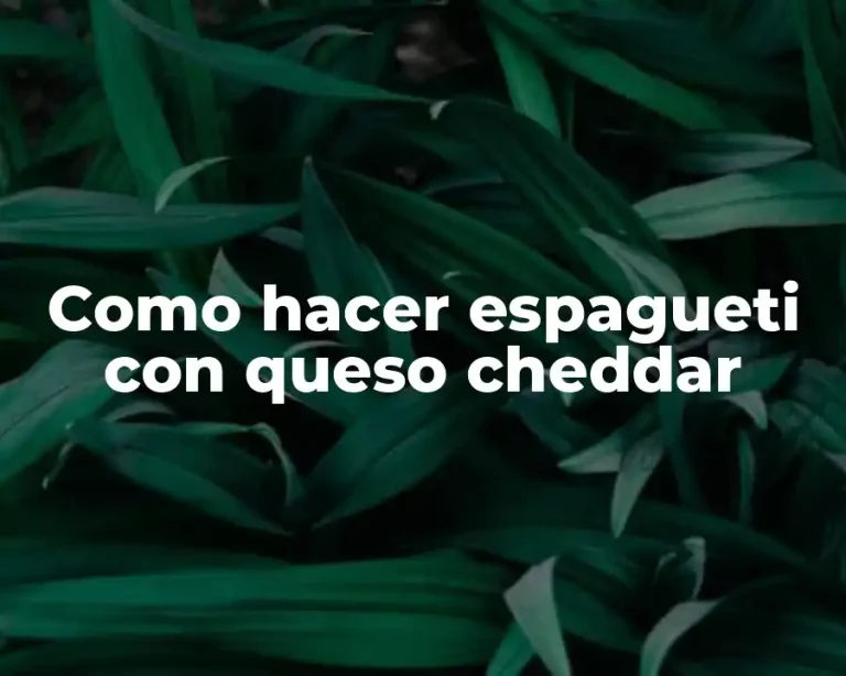 Como hacer espagueti con queso cheddar
