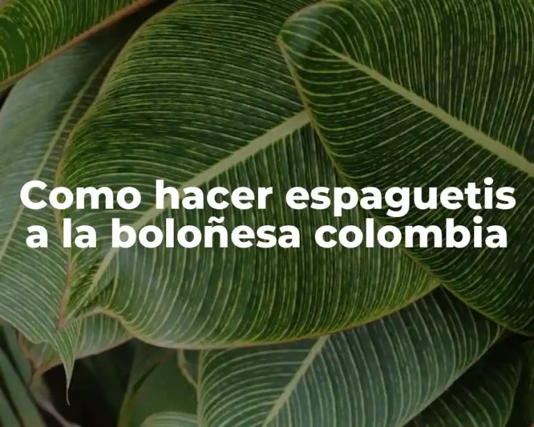 Como hacer espaguetis a la boloñesa colombia