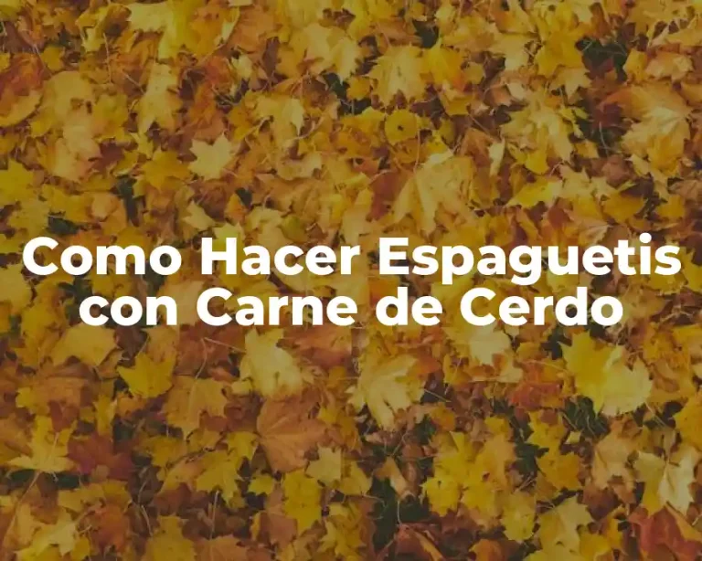 Como Hacer Espaguetis con Carne de Cerdo