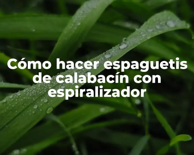 Cómo hacer espaguetis de calabacín con espiralizador