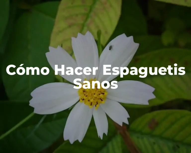 Cómo Hacer Espaguetis Sanos