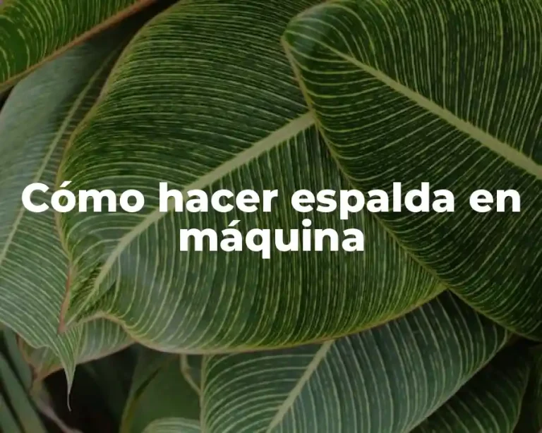 Cómo hacer espalda en máquina