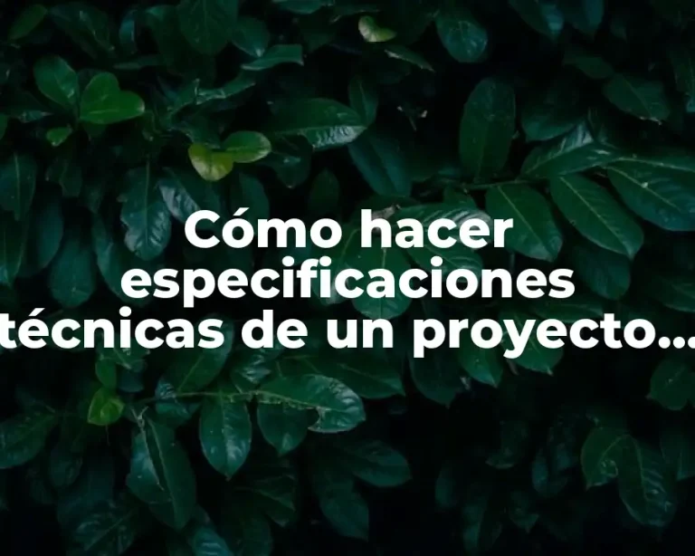 Cómo hacer especificaciones técnicas de un proyecto de software
