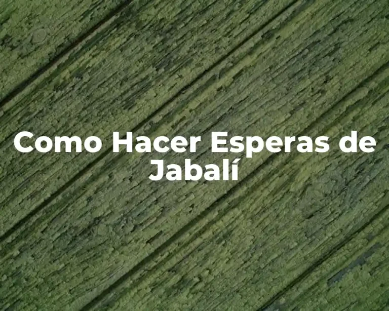 Como Hacer Esperas de Jabalí