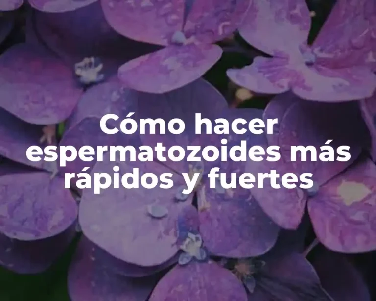 Cómo hacer espermatozoides más rápidos y fuertes