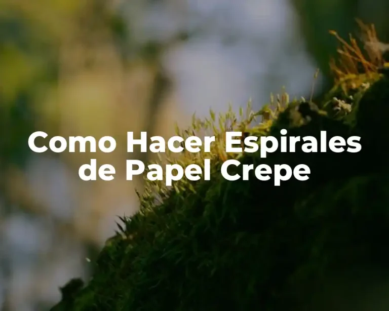 Como Hacer Espirales de Papel Crepe