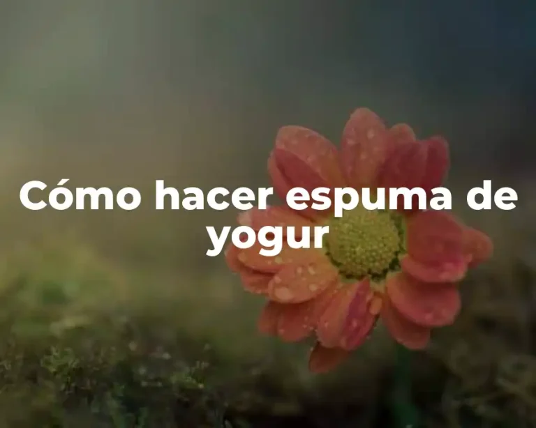 Cómo hacer espuma de yogur