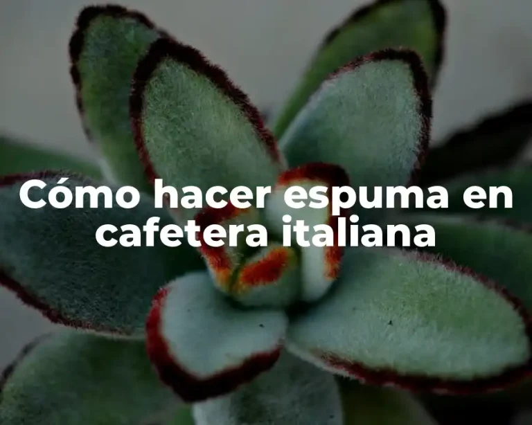 Cómo hacer espuma en cafetera italiana