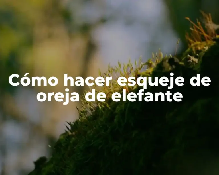 Cómo hacer esqueje de oreja de elefante