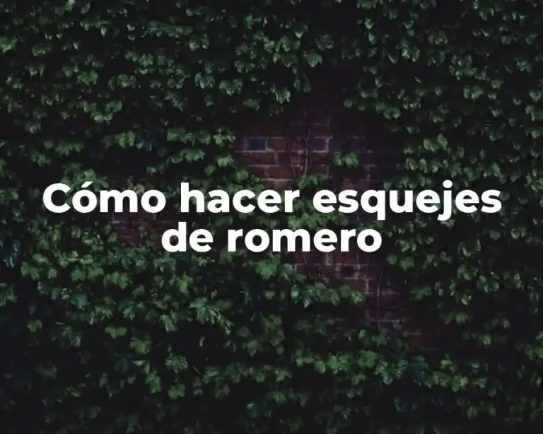 Cómo hacer esquejes de romero