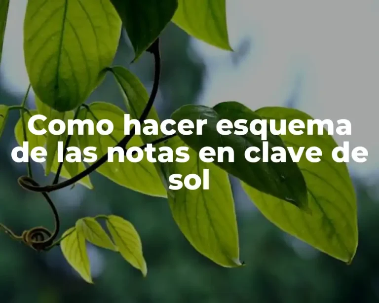 Como hacer esquema de las notas en clave de sol